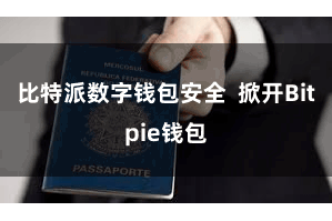 比特派数字钱包安全 掀开Bitpie钱包