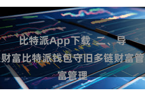 比特派App下载 二、导入财富比特派钱包守旧多链财富管理
