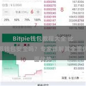 Bitpie钱包教程大全 比特派钱包安全吗？专家详解其全面优势