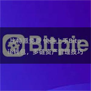 比特派免费 快速上手Bitpie钱包，多链资产管理技巧