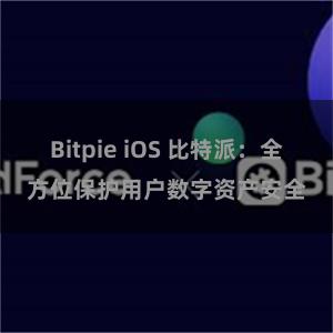 Bitpie iOS 比特派：全方位保护用户数字资产安全