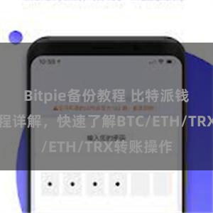 Bitpie备份教程 比特派钱包转账教程详解，快速了解BTC/ETH/TRX转账操作