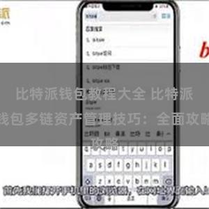 比特派钱包教程大全 比特派钱包多链资产管理技巧：全面攻略