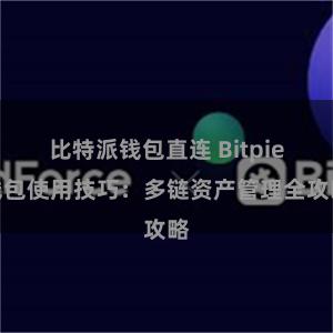 比特派钱包直连 Bitpie钱包使用技巧：多链资产管理全攻略