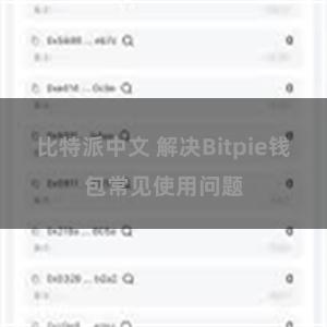 比特派中文 解决Bitpie钱包常见使用问题