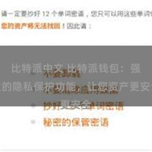 比特派中文 比特派钱包：强大的隐私保护功能，让您资产更安全