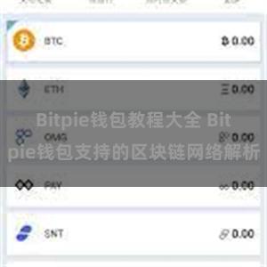 Bitpie钱包教程大全 Bitpie钱包支持的区块链网络解析