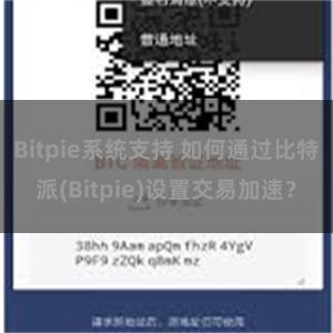 Bitpie系统支持 如何通过比特派(Bitpie)设置交易加速？