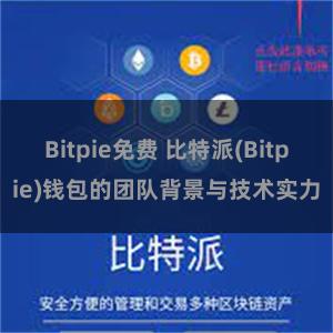 Bitpie免费 比特派(Bitpie)钱包的团队背景与技术实力