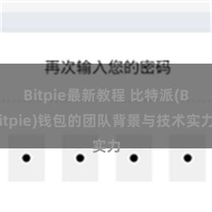 Bitpie最新教程 比特派(Bitpie)钱包的团队背景与技术实力