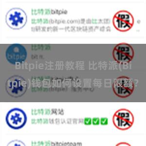 Bitpie注册教程 比特派(Bitpie)钱包如何设置每日限额？