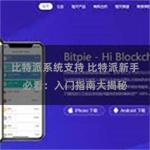 比特派系统支持 比特派新手必看：入门指南大揭秘
