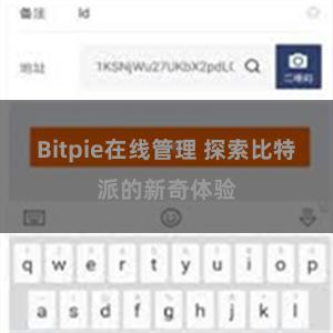 Bitpie在线管理 探索比特派的新奇体验