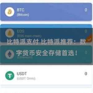 比特派支付 比特派推荐：数字货币安全存储首选！