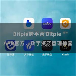 Bitpie跨平台 Bitpie APP官方，数字资产管理神器
