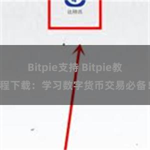 Bitpie支持 Bitpie教程下载：学习数字货币交易必备！