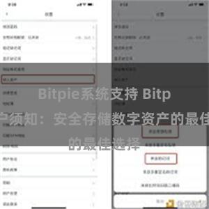Bitpie系统支持 Bitpie用户须知：安全存储数字资产的最佳选择
