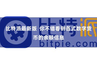 比特派最新版  你不错看到各式数字货币的余额信息